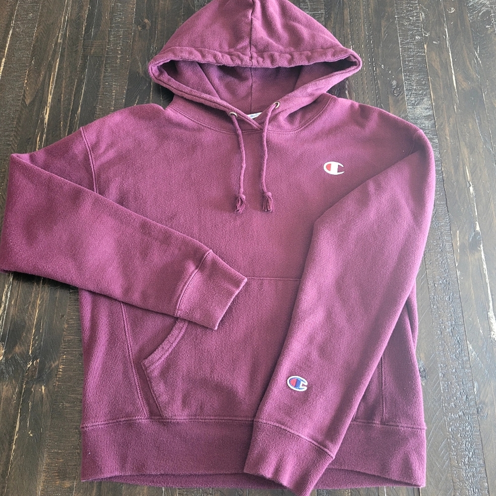 Champion Reverse Weave Hoodie Mens Small Faded Pullover Sweater Y2K